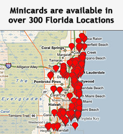 Minicards Travel Guide
